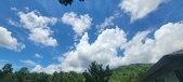 Enlarge photo 243
