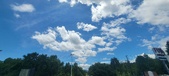 Enlarge photo 231