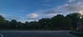 Enlarge photo 154