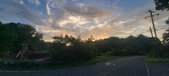 Enlarge photo 152