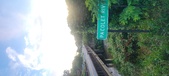 Enlarge photo 142