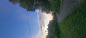 Enlarge photo 135