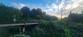 Enlarge photo 132