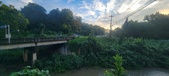 Enlarge photo 131