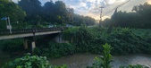 Enlarge photo 130