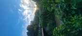 Enlarge photo 126