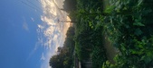 Enlarge photo 127