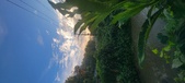 Enlarge photo 129