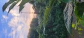 Enlarge photo 125