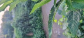 Enlarge photo 124