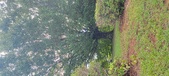 Enlarge photo 115