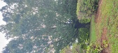 Enlarge photo 114