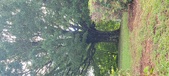 Enlarge photo 113