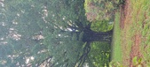 Enlarge photo 109
