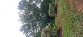 Enlarge photo 112