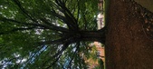 Enlarge photo 108