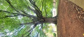 Enlarge photo 107
