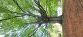 Enlarge photo 106