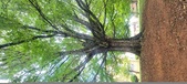 Enlarge photo 162