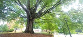 Enlarge photo 105