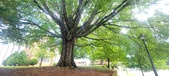 Enlarge photo 104