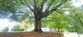 Enlarge photo 103