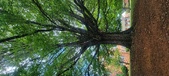 Enlarge photo 102