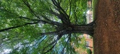 Enlarge photo 101