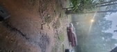 Enlarge photo 96