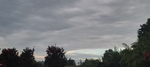 Enlarge photo 93