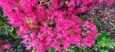 Enlarge photo 89
