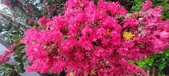 Enlarge photo 86