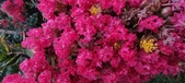 Enlarge photo 87