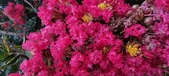 Enlarge photo 88