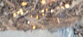 Enlarge photo 69