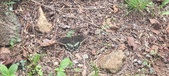 Enlarge photo 211