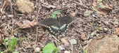 Enlarge photo 210