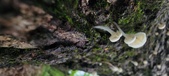 Enlarge photo 172