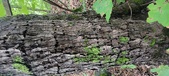 Enlarge photo 166