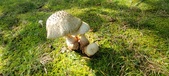 Enlarge photo 28