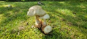 Enlarge photo 13