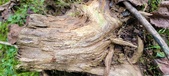Enlarge photo 33