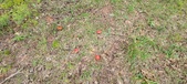 Enlarge photo 79