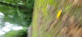 Enlarge photo 71