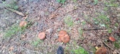 Enlarge photo 82