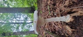 Enlarge photo 102