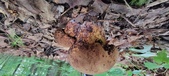 Enlarge photo 107