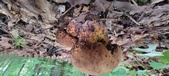 Enlarge photo 108