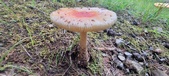 Enlarge photo 123