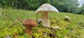 Enlarge photo 129